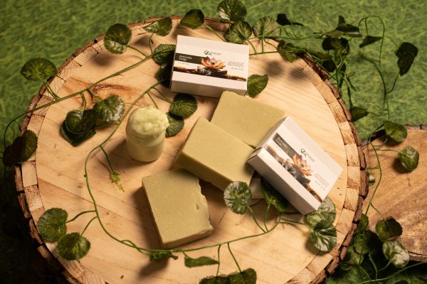 Avocado Soap - Image 2